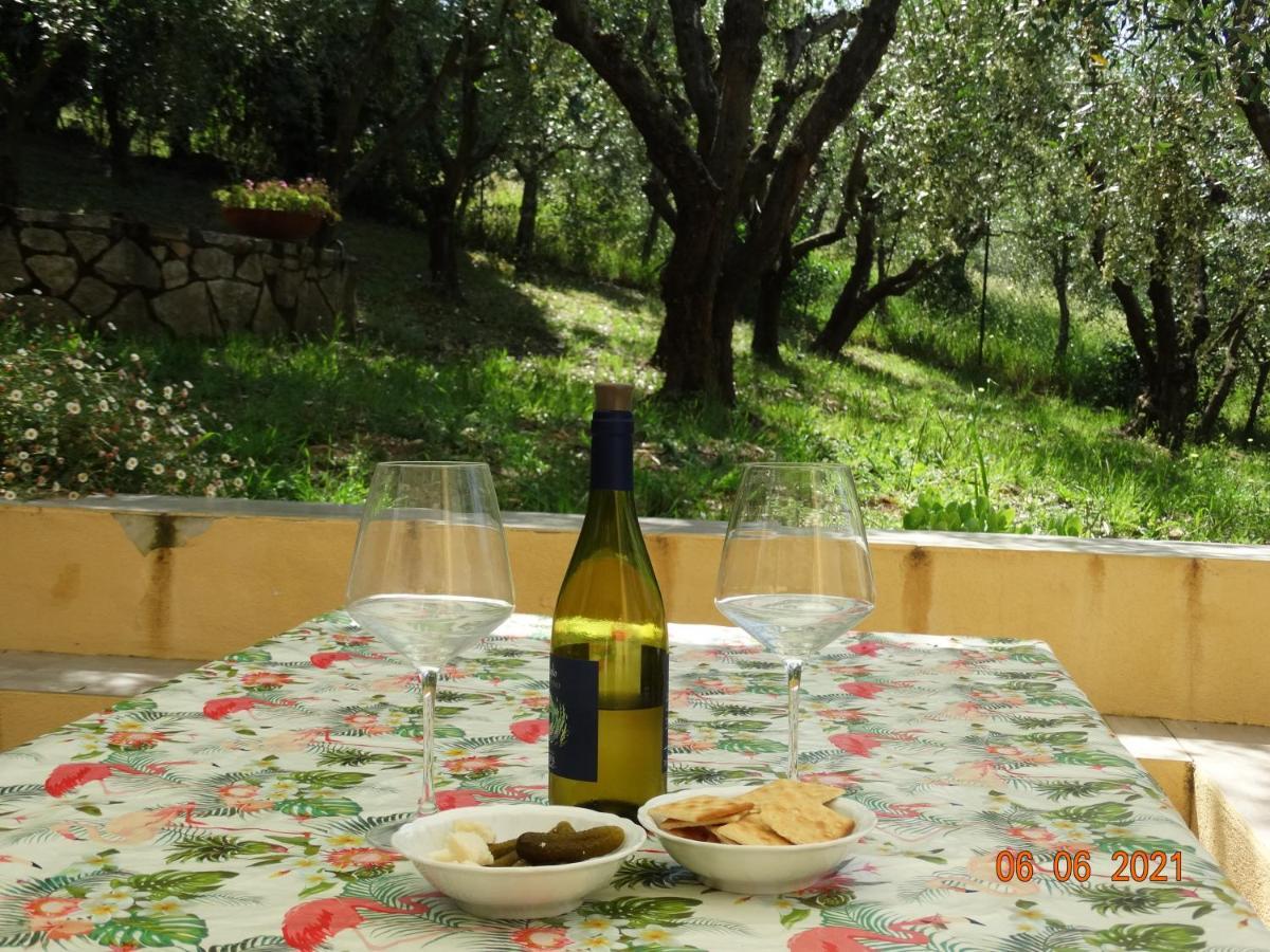 Poggio House, Tranquillita E Comfort Nella Natura San Casciano in Val di Pesa Exteriör bild