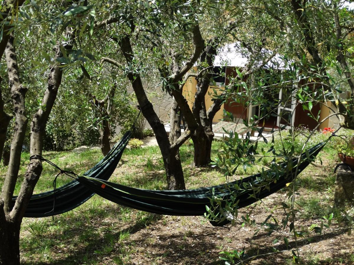 Poggio House, Tranquillita E Comfort Nella Natura San Casciano in Val di Pesa Exteriör bild