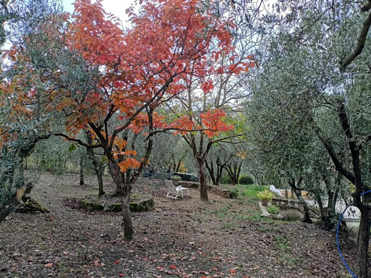Poggio House, Tranquillita E Comfort Nella Natura San Casciano in Val di Pesa Exteriör bild