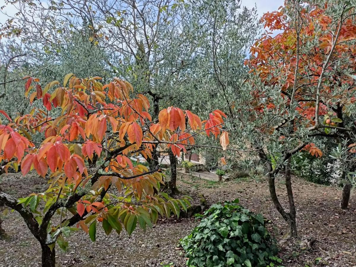 Poggio House, Tranquillita E Comfort Nella Natura San Casciano in Val di Pesa Exteriör bild