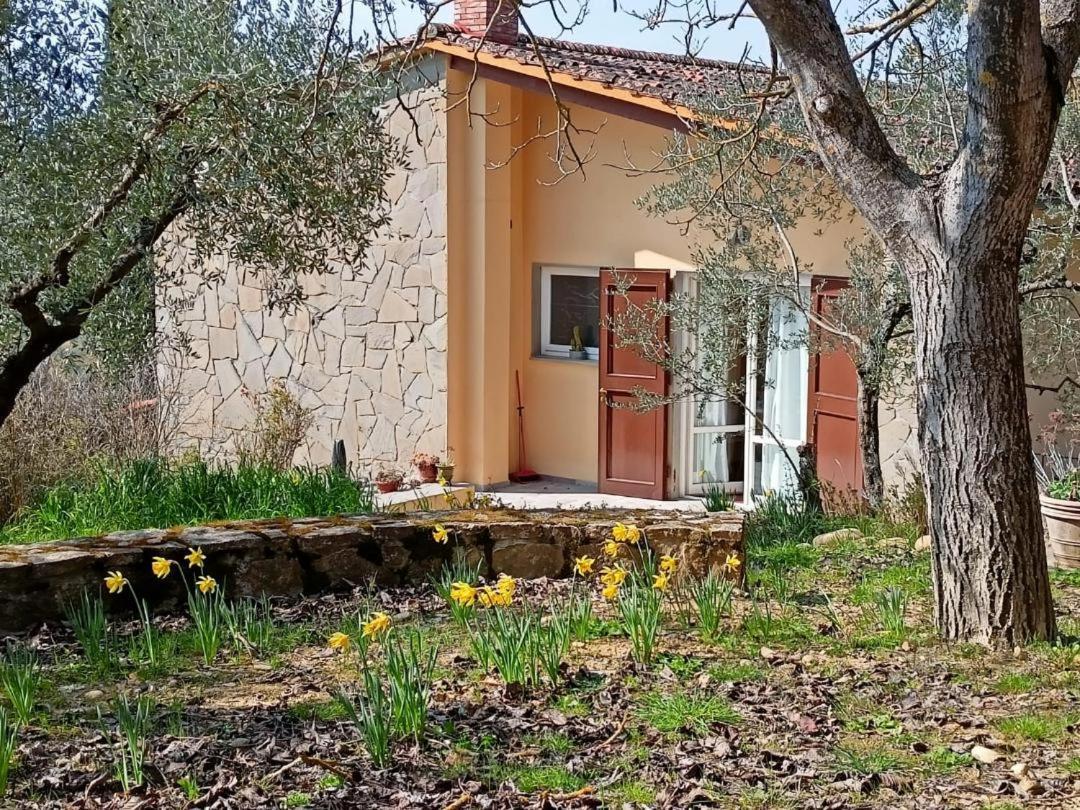 Poggio House, Tranquillita E Comfort Nella Natura San Casciano in Val di Pesa Exteriör bild