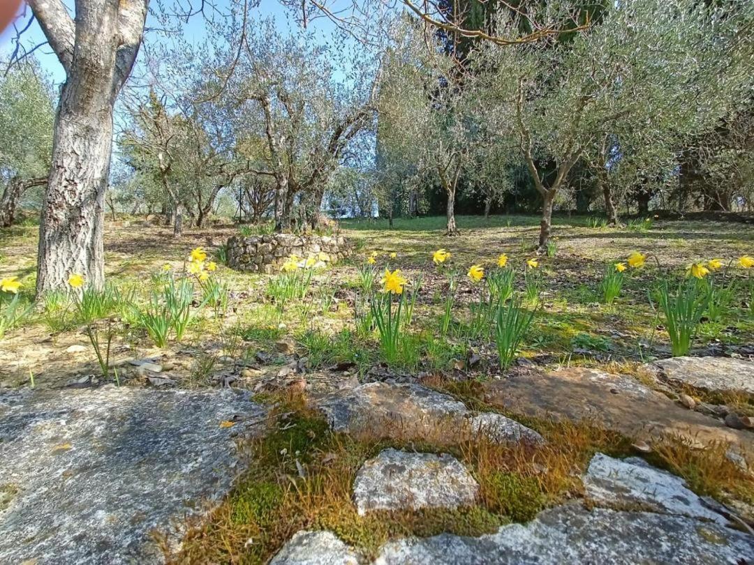 Poggio House, Tranquillita E Comfort Nella Natura San Casciano in Val di Pesa Exteriör bild